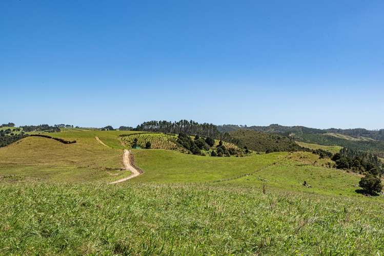 731 Puhipuhi Road Whakapara_32