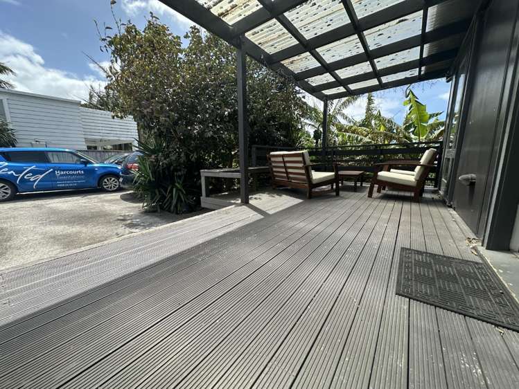 2/131 Williamson Avenue Grey Lynn_10
