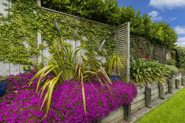 4 Greyfort Road Silverdale_23