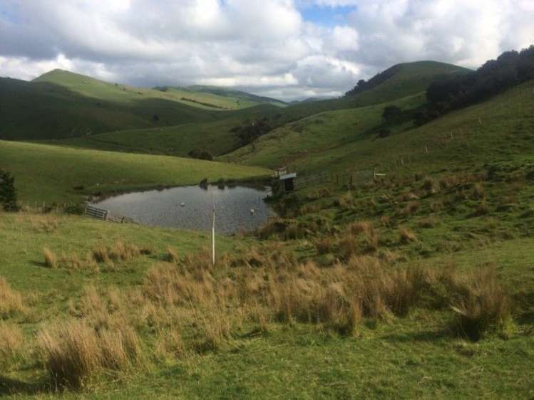 346 Waitahora Road Dannevirke_4