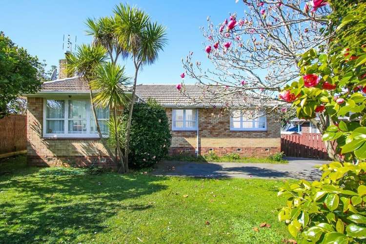 62 Botany Road Botany Downs_15