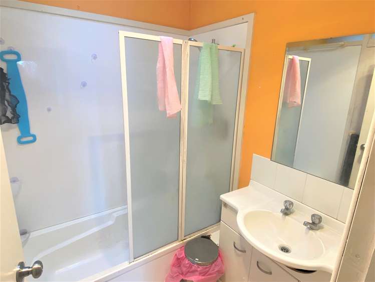 47 Dunlop Road Te Puke_5