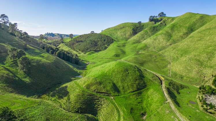 Coates Road Waikite Valley_6