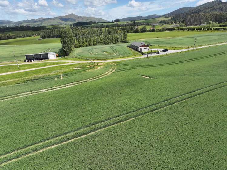 583 Reaby Road Gore_13