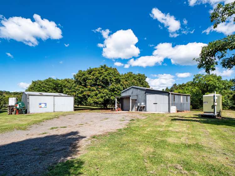 168 Youngson Road Whakamarama_7