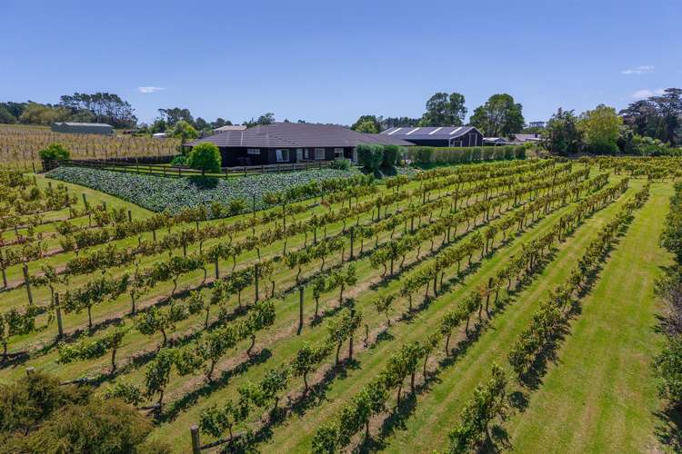 583 State Highway 16 Kumeu_34