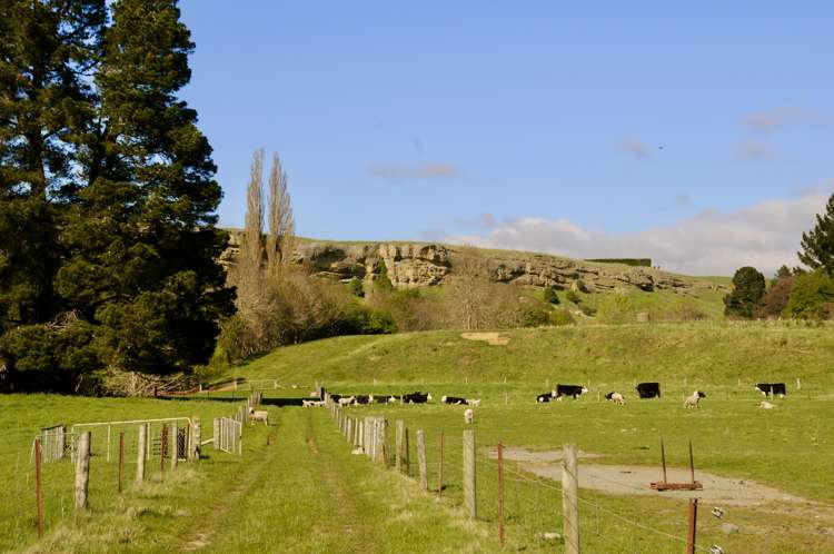 Hakataramea Highway Waimate_21