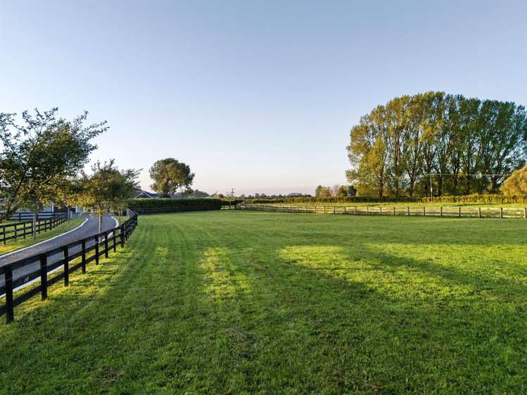 899A Tauwhare Road Tauwhare_23
