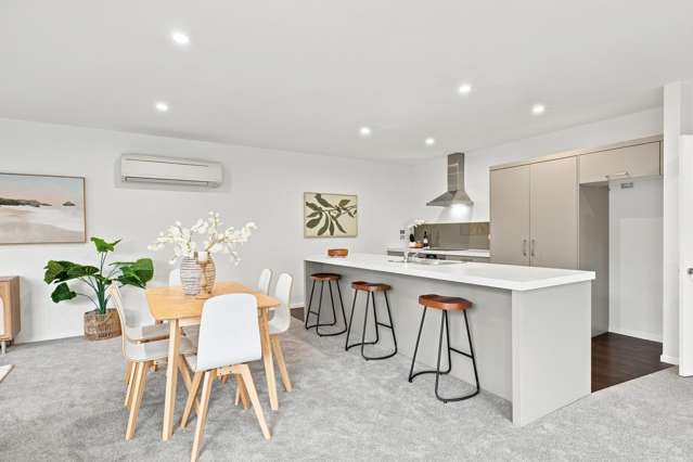 87 Kaniere Avenue Hei Hei_1