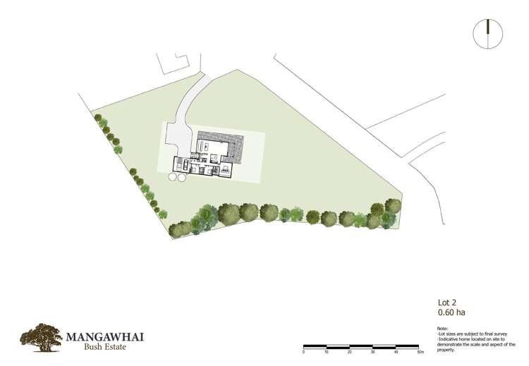 Mangawhai Bush Estate Mangawhai_13