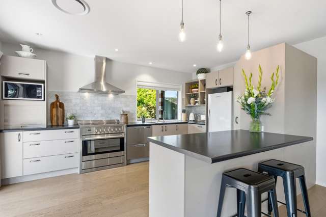 147A Main North Road Papanui_1