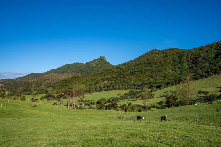 196b Ocean Beach Road Whangarei Heads_31