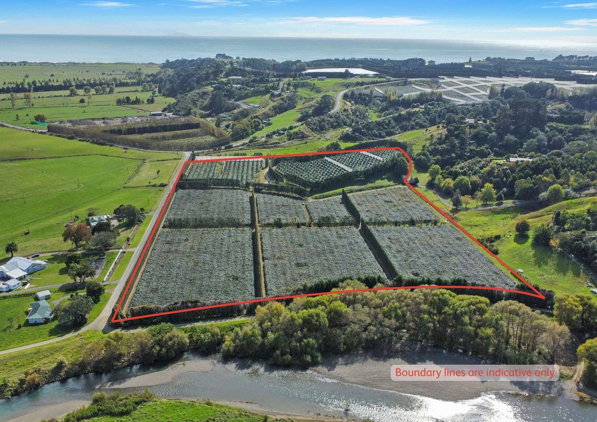 155A Gow Road Opotiki_0
