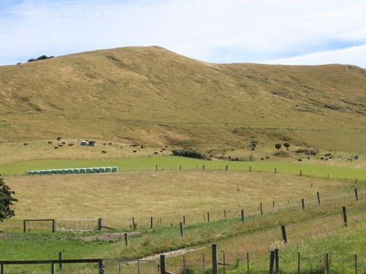 145 Adam Sutherland Road Palmerston_5