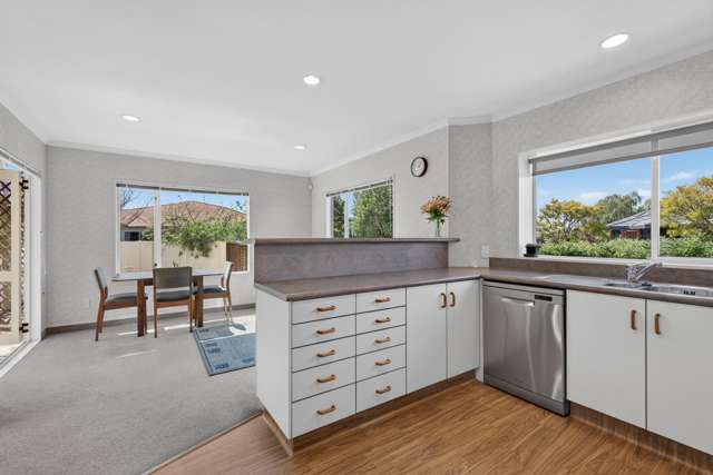 2A Wilton Row Taradale_1