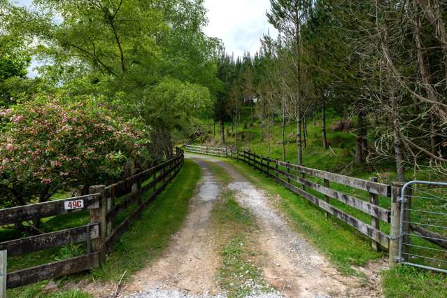 49C Olds Road Ngongotaha Valley_3