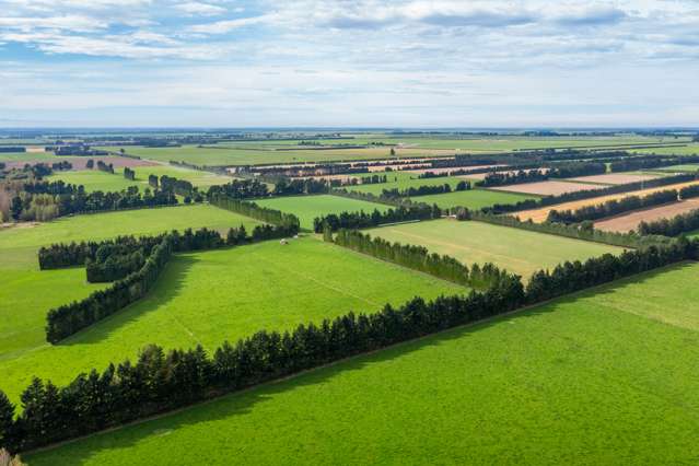 Rockwood Road Hororata_1