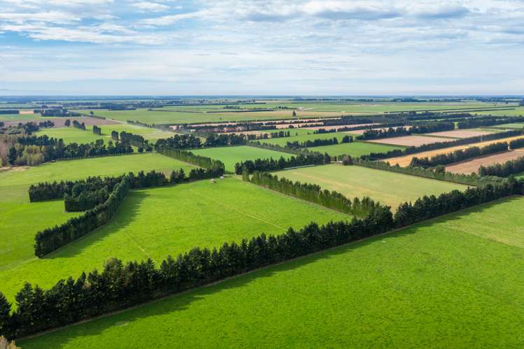 Rockwood Road Hororata_1