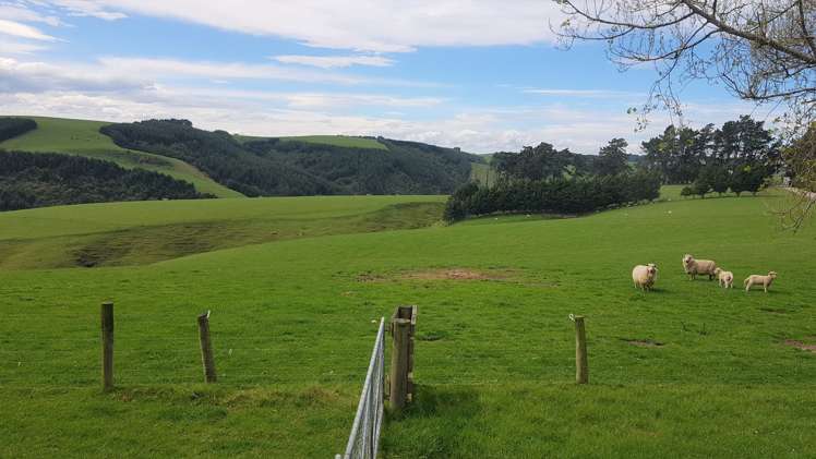 161 Roulston Road Balclutha_13