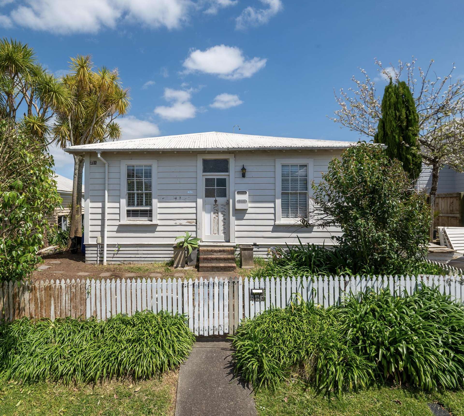 42a Sussex Street Grey Lynn_0