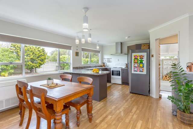 100 East Street Greytown_3