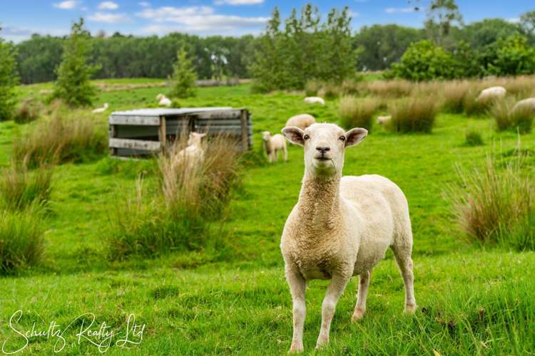 24A Waterview Crescent Kaiwaka_7