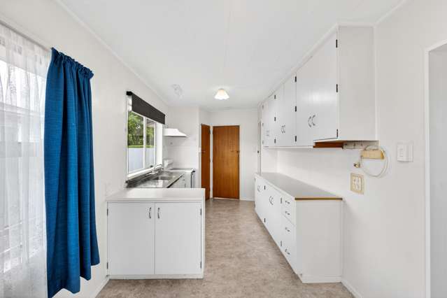 63 Alexander Avenue Onekawa_3