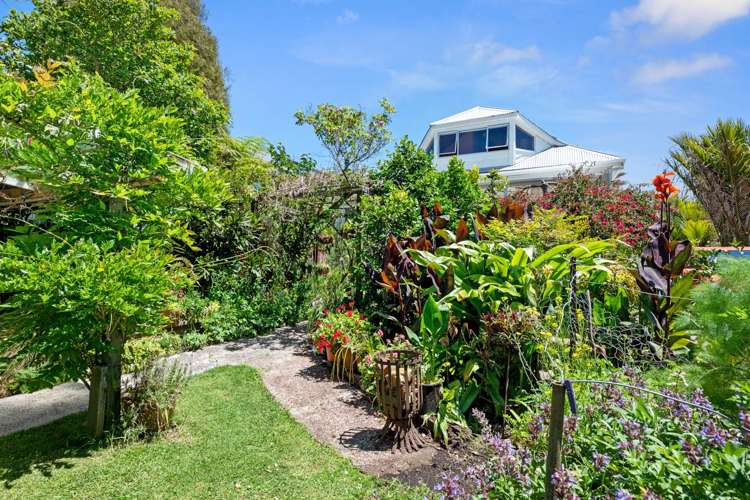 28 Summer Street Stanley Point_23