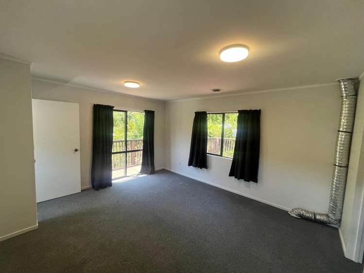 48 Norway Street Aro Valley_5