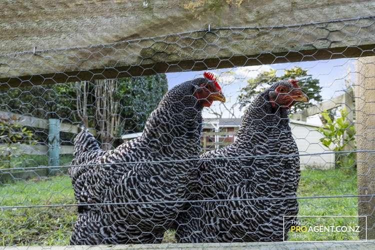 3 Sandys Parade Laingholm_7