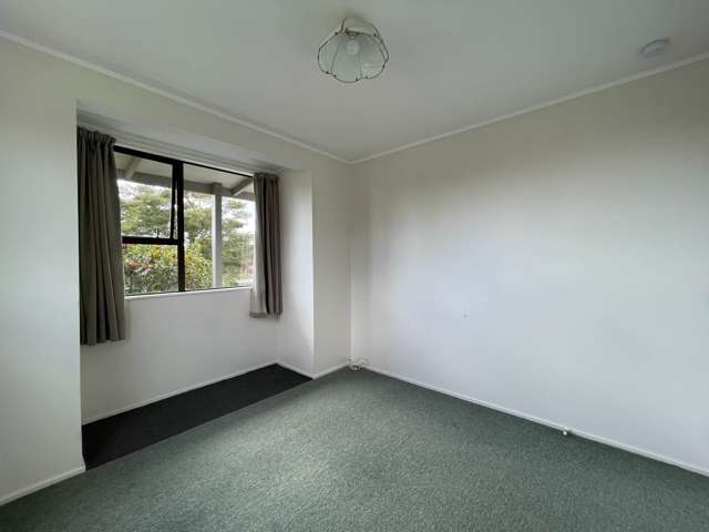 65 Rodney Street Wellsford_4