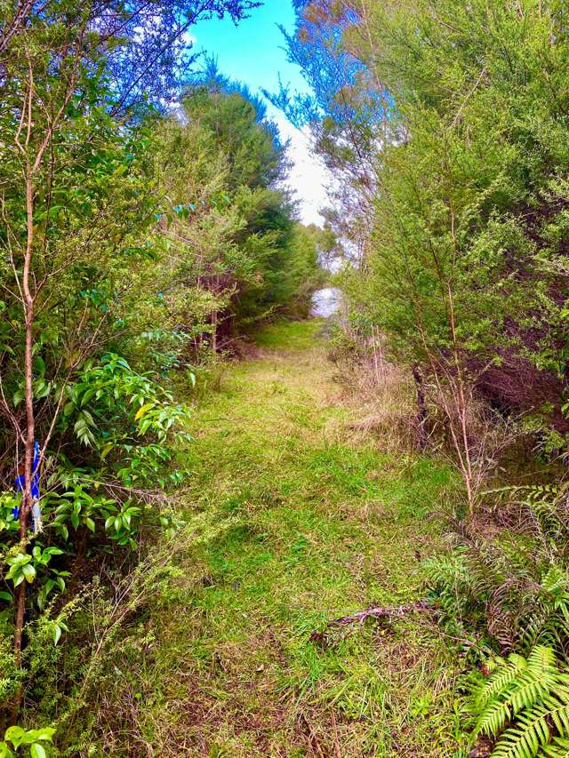 452 Moir Hill Road Warkworth_2