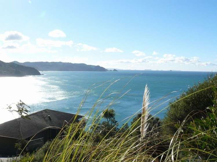 15 Fantail Terrace Tairua_5