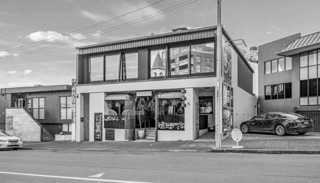 5 Rose Road Grey Lynn_3