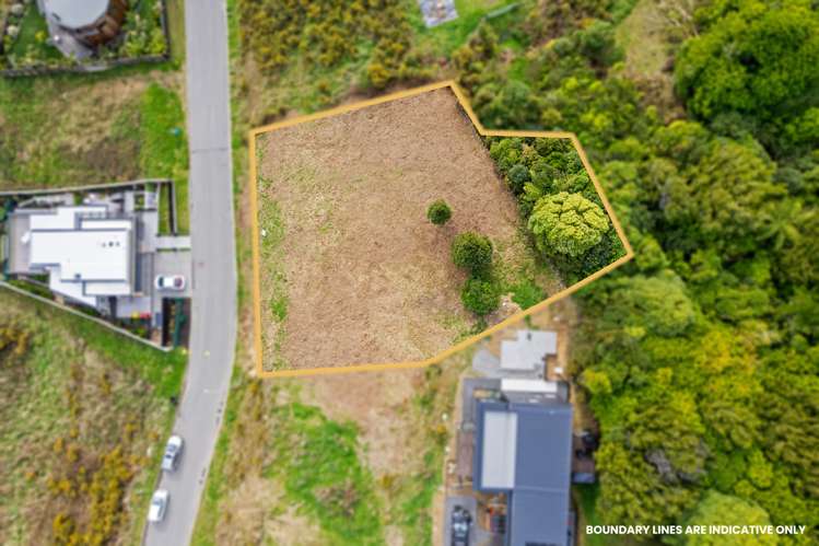 31 Wilson Way Waikanae_1