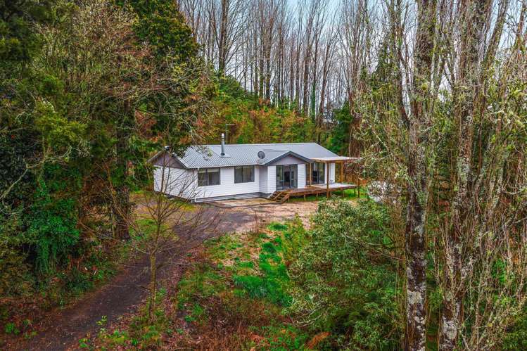 277 Waitea Branch Road_0