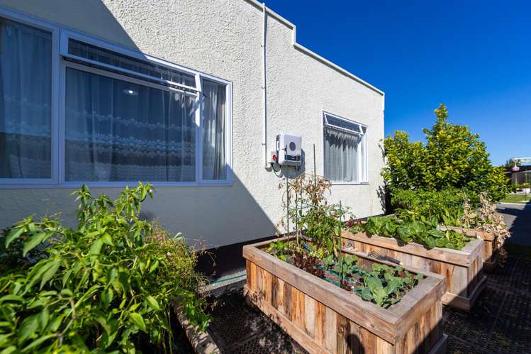 22 White Street Taradale_18