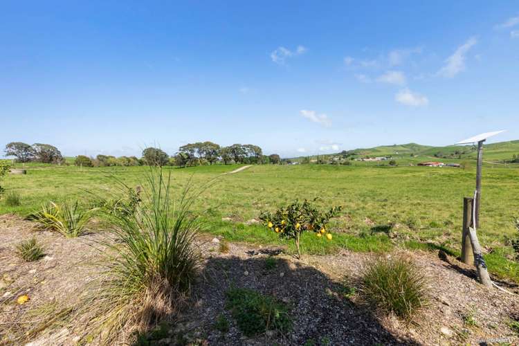 437 Tauhei Road Morrinsville_15