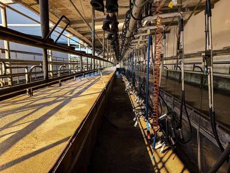 403 Island Edendale Road Menzies Ferry_14