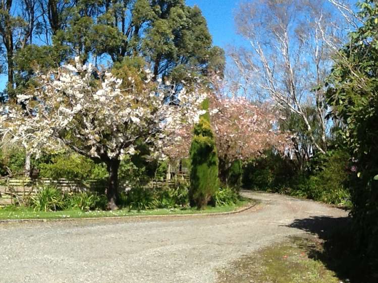 141 Myross Road Myross Bush_18