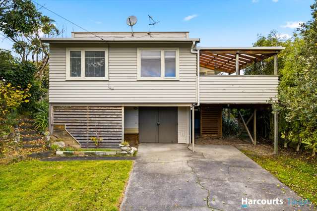 19 Waitahanui Avenue Taupo_1