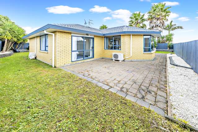 48 Thomas Road Flat Bush_2