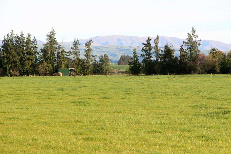 Totara Valley Road Pleasant Point_3