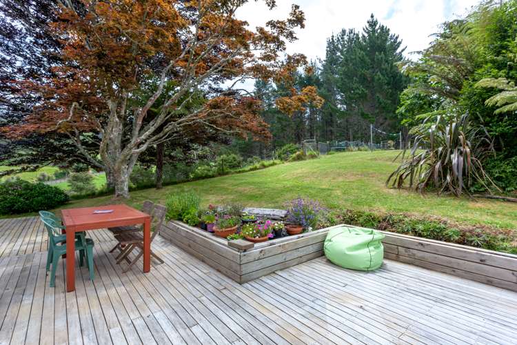 529 Kauaeranga Valley Road Thames_17