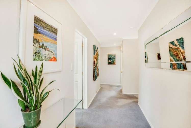 2a Waite Avenue Wesley_9