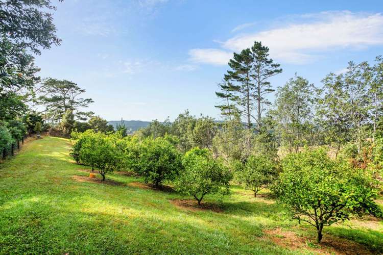 65 Zanders Road Helensville_29