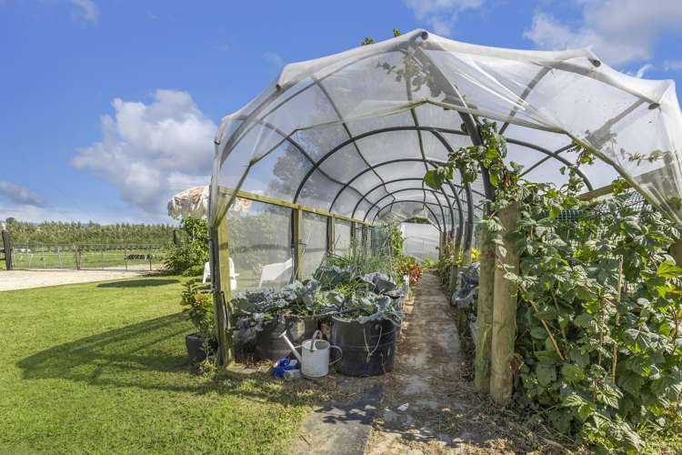 320 Seafund Road Wharepuhunga_22