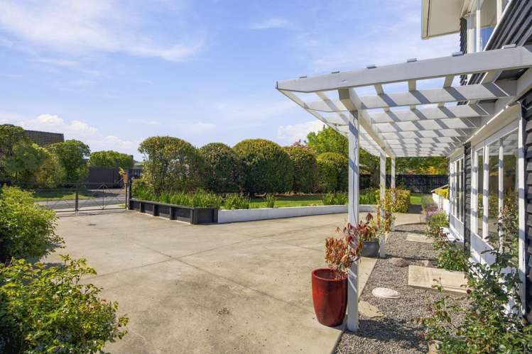 27 Tui Street Bird Area_18