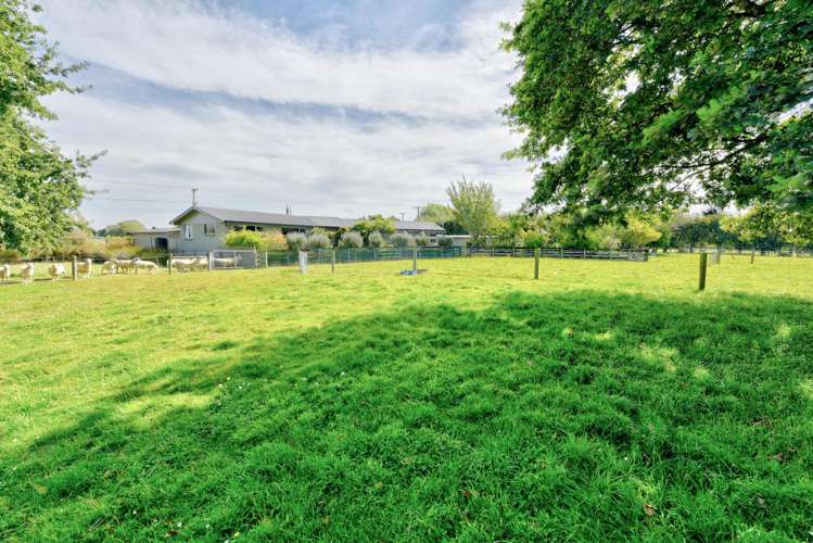 56 Racecourse Road Gore Surrounds_7