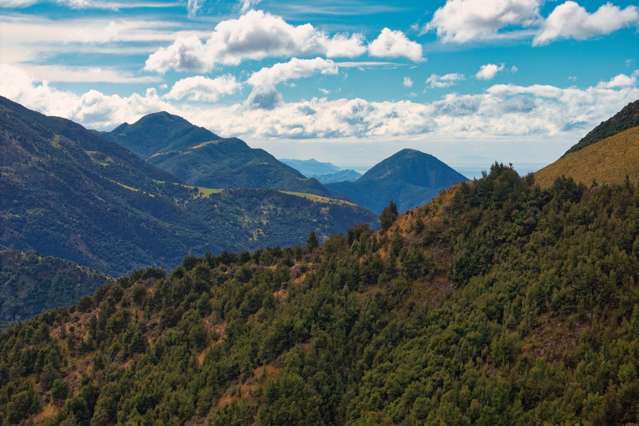 Lifestyle Block - 6.6ha in the Puhi Puhi Valley